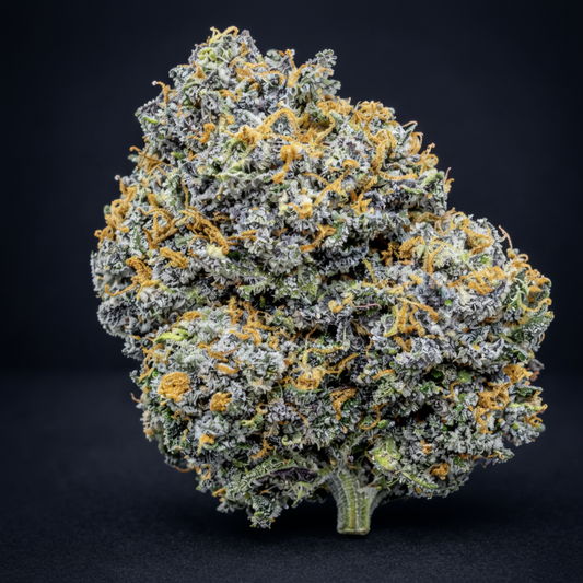 Enhanced Trichome Refinement