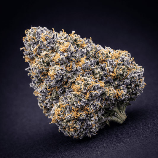 Close-up of Granddaddy Gelato cannabis flower with purple tones and visible trichomes